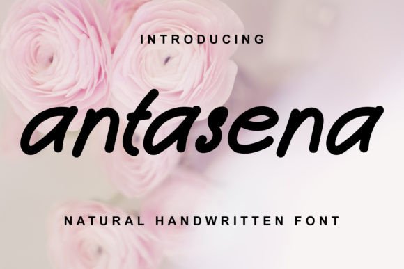 Antasena: A Designer’s Take on Its Real-World Performance