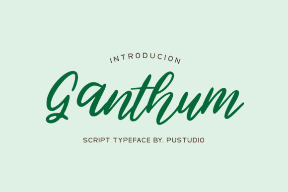 Ganthum: A Quirky Script Font That Elevates Your Business Branding