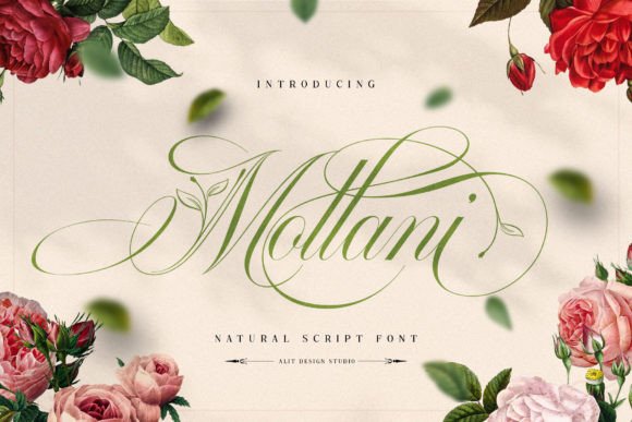 How Mollani Font Elevates Campaign Typography with Natural Elegance