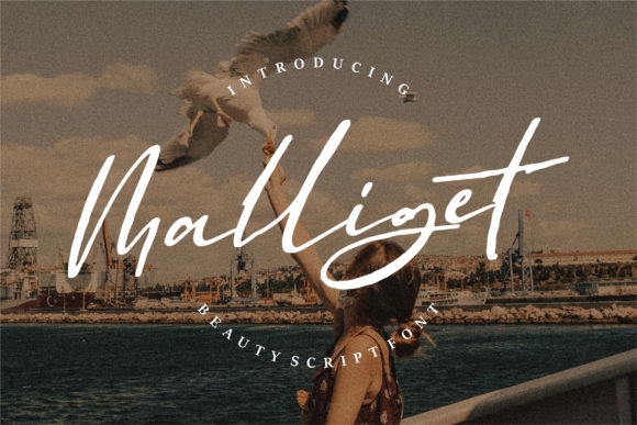 Malliget: A Chic Script Font for Modern Web Design and Digital Branding