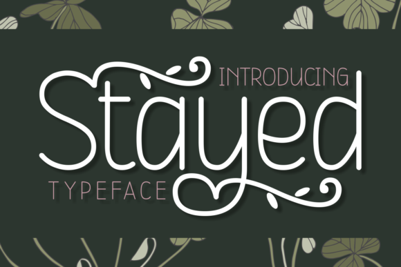 Stayed Font: How a Charming Script Amp Font Can Elevate Your Campaign Visuals