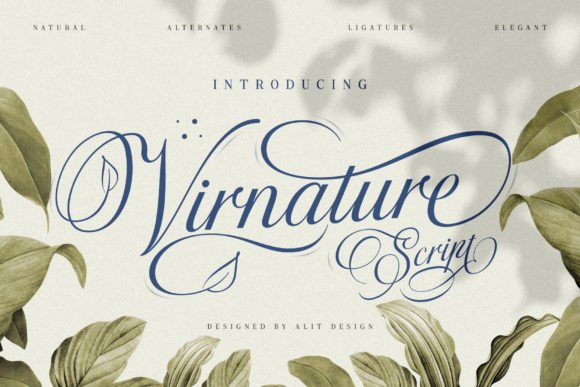 Virnature: A Nature-Inspired Script Font for Elegant Editorial Design
