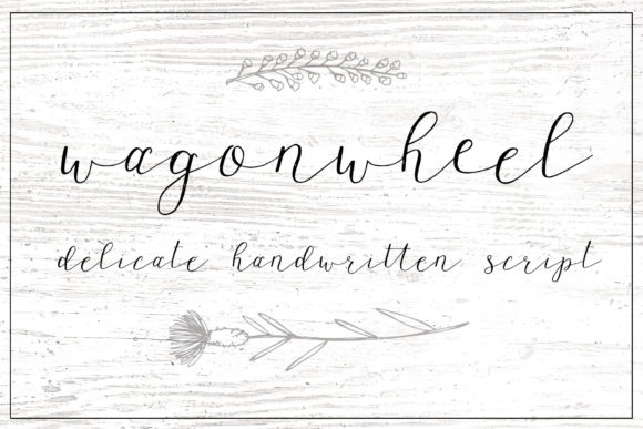 Wagonwheel Font: A Designer’s Review for Campaign Visuals and Brand Typography